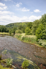 Fototapeta na wymiar Summertime river in the UK.