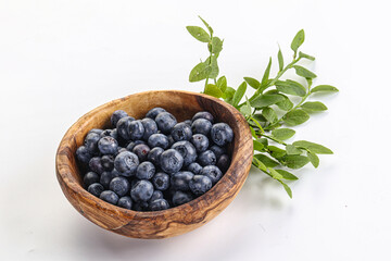 Ripe sweet blueberry in the bowl