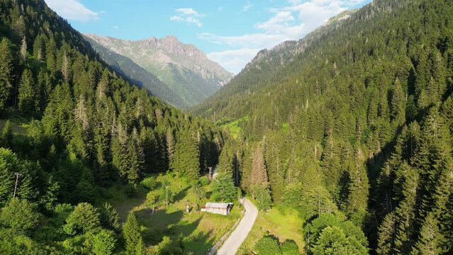 Mountain road. Aerial view of the road leading through the forest. Drone view of the road towards Kackar mountains