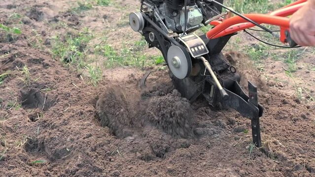 Powerful cultivator, Tiller. Gardening. Spring work on the farm. Land cultivation with a Motor ripper. Man plows the ground. Spring soil preparation for seeding. Husbandman, grower. Moto plow working