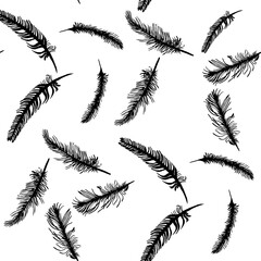  black and white Feather Pattern illustration