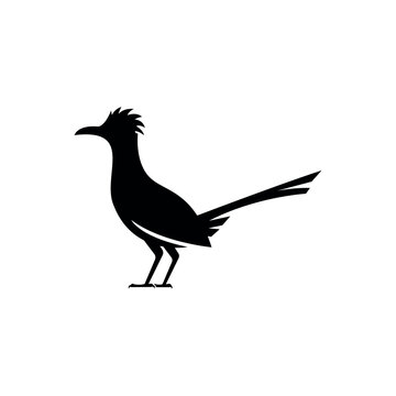 recommend clip art: roadrunner bird logo vector icon illustration
