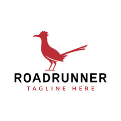 roadrunner bird logo vector icon illustration