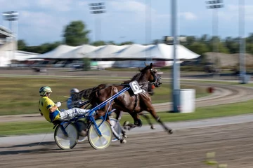 Foto op Canvas Racing horses trots and rider on a track of stadium. Competitions for trotting horse racing. Horses compete in harness racing. Horse runing at the track with rider.  © scatto