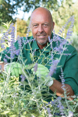 Fototapeta premium mature male gardener pruning plants