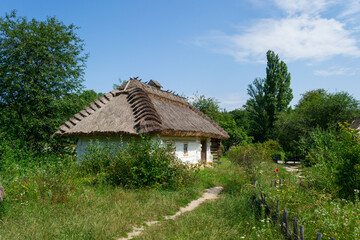 A village yard with grass and trees near the ancient Ukrainian countryside house