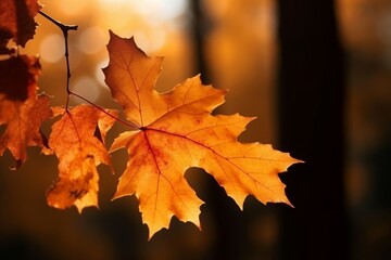 Naklejka na ściany i meble Maple leaves autumn. Generate Ai