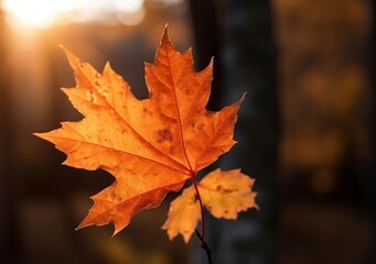 Maple leaves autumn closeup. Generate Ai