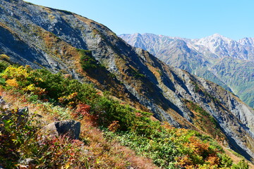 秋の八方尾根より白馬連峰を望む。長野、日本。10月上旬。