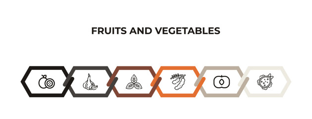 passion fruit, garlic, basil, tamarind, apricot, dragon fruit outline icons. editable vector from fruits and vegetables concept. infographic template.