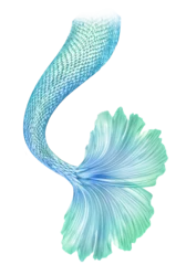 Foto op Canvas Png Transparent Mermaid Tail Overlays. By ATP Textures © sharon