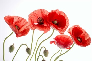 Obraz premium Artistic detail of red poppies on a white background. Generative AI