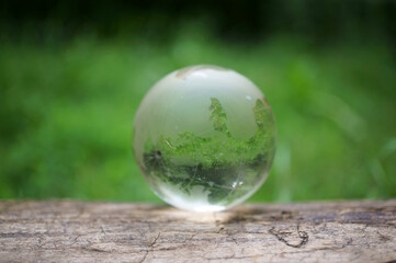 Obraz na płótnie Canvas Glass globe on a green background. Protection of the planet. Ecosystem. Environmental protection.