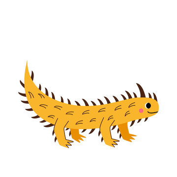 Vector picture of cute thorny devil isolated on white background.