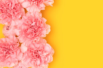 Pink carnation and rose flowers on a yellow background. Floral texture with copy space.
