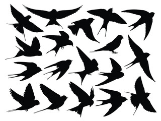 The set silhouettes of flying swallows. 
 - obrazy, fototapety, plakaty