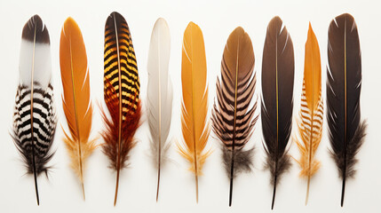 Set of 8 boho feathers with different prints. 