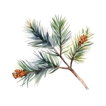 Watercolor pine cone and branch, generative ai.