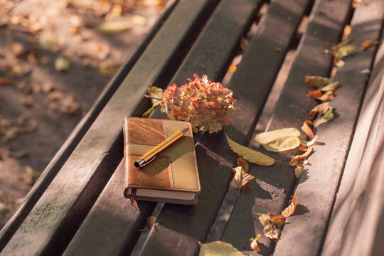leather notebook and pen on old wooden bench in autumn park