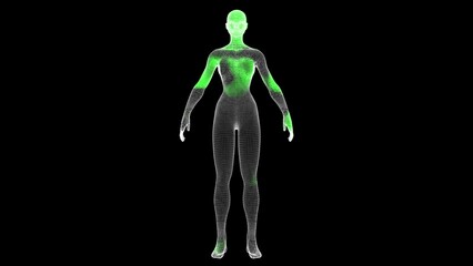 The spread of antivirus through volumetric woman body on black background. Demonstration of cure of the virus in the body. Medical concept. Scanning and treatment of the body. 3D animation