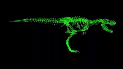 3D Tyrannosaurus rex skeleton on black bg. Object dissolved green flickering particles. Business advertising backdrop. Science concept. For title, text, presentation. 3D animation.