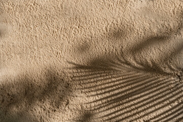 The shadow of a palm tree branch on the sand of a sandy tropical beach. Summer concept. Flat lay.
