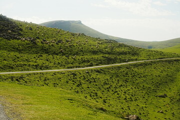 Stunning view of green mountains and trails at the foothills of the French Pyrenees, part of the Camino de Santiago. Perfect for nature, travel, and adventure projects.