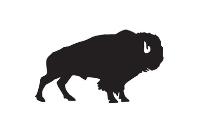 Vector silhouette of  bison isolated on white, black figure graphical illustration