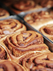 A cinnamon rolls (cinnamon bun, cinnamon swirl, cinnamon snail) close up. Fresh pastries in the bakery