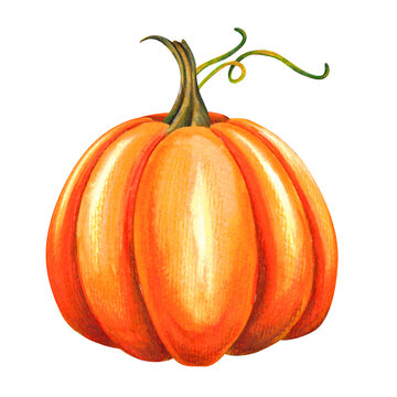 watercolor illustration with pumpkins for Halloween celebration