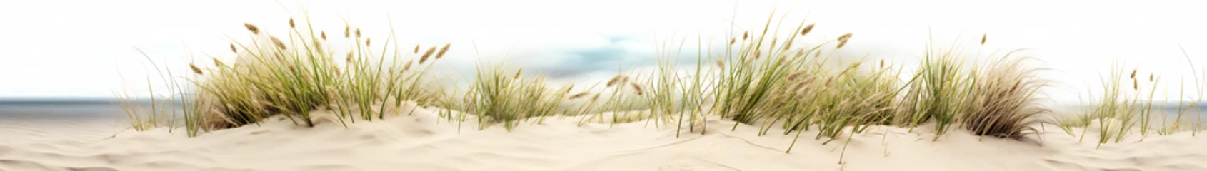 Photo sur Plexiglas Panoramique Grass on the beach