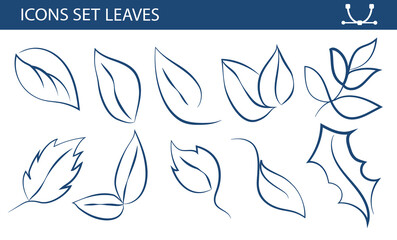 Set of leaves in line art style, sketch drawing, symbolizing eco, ecology