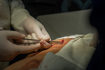 doctors, doctors and patient, doctor patient, doctor's office, doctor with patient, doctor...