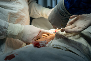 doctors, doctors and patient, doctor patient, doctor's office, doctor with patient, doctor...