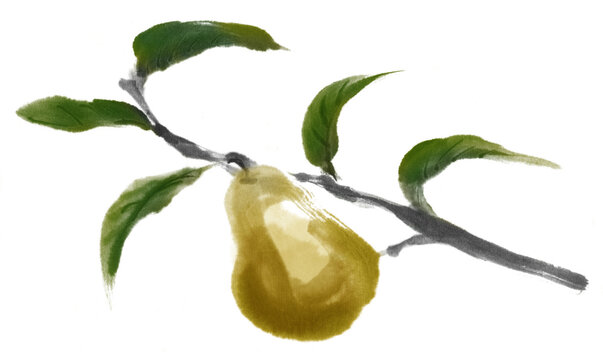 カラーにした水墨画　花梨