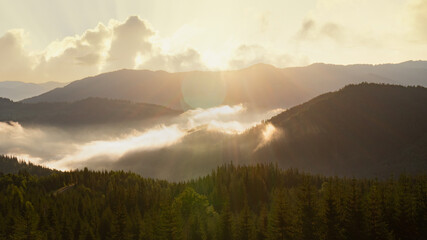 Beautiful morning panorama of forest covered by low clouds. Sun rays in forested mountain slope.