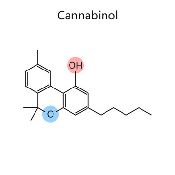 Chemical organic formula of Cannabinol diagram schematic vector illustration. Medical science educational illustration