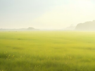 Fototapeta na wymiar green field and fog