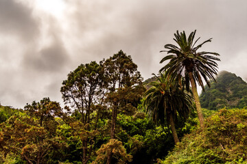 Paisaje en la Isla de la Gomera.