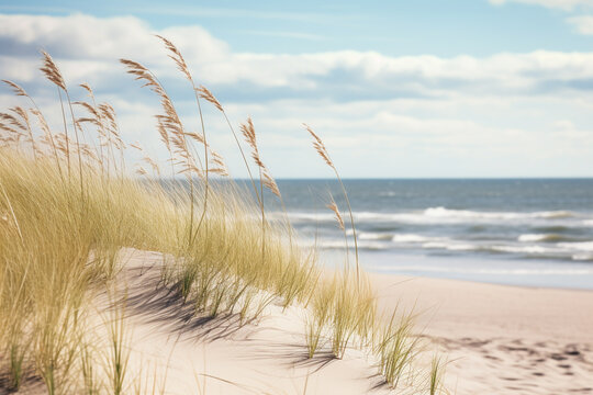 Sea landscape with sandy dunes and beach grass. Beautiful empty white sand dunes at the sea beach. Generative AI