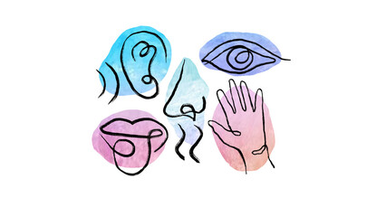 Grunge line drawing of 5 senses on 5 different watercolor spots background
命名的作品