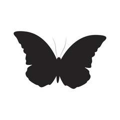 Butterfly Shilouette Vector