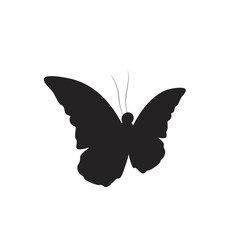 Butterfly Shilouette Vector