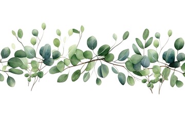 Obraz premium Eucalyptus Leaves Border