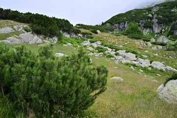 Mountain detail view after hiking in summer time from warm weather to cold weather