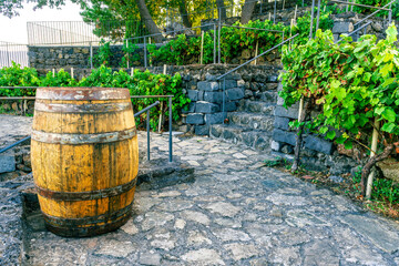old vintage oaken wine barrel on wineyard, vinery rural landscape - obrazy, fototapety, plakaty