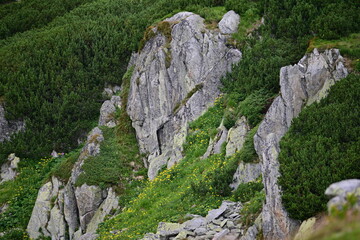 Mountain detail view after hiking in summer time from warm weather to cold weather