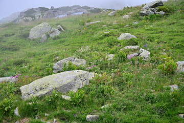 Mountain detail view after hiking in summer time from warm weather to cold weather