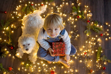 Toddler child, cute blond boy, sitting on the floor with pet dog, christmas lights around