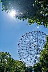 Fototapeta premium 葛西臨海公園のダイヤと花の大観覧車